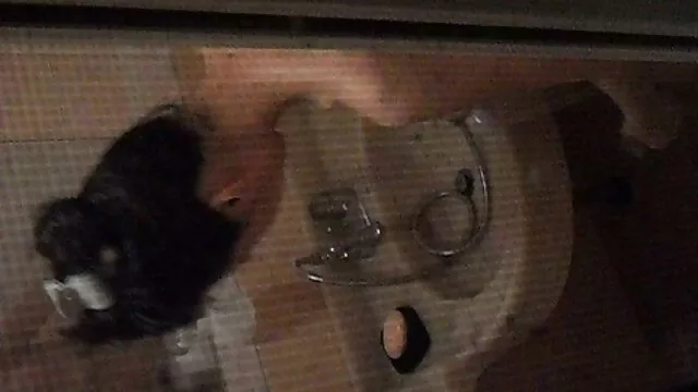 Trói jav phim sex nh ...