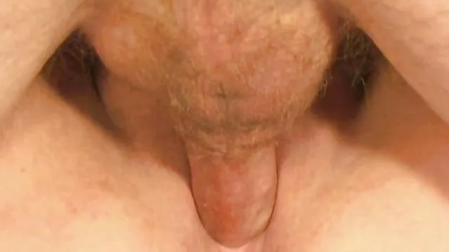Đỏ Chó cái T-girl (n ...