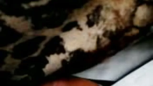Cực sex nhật bản vú  ...