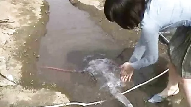 Sara nam diễn viên p ...
